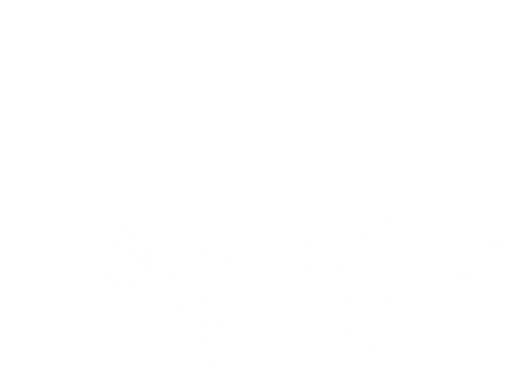 cochon-blanc-broche-icône